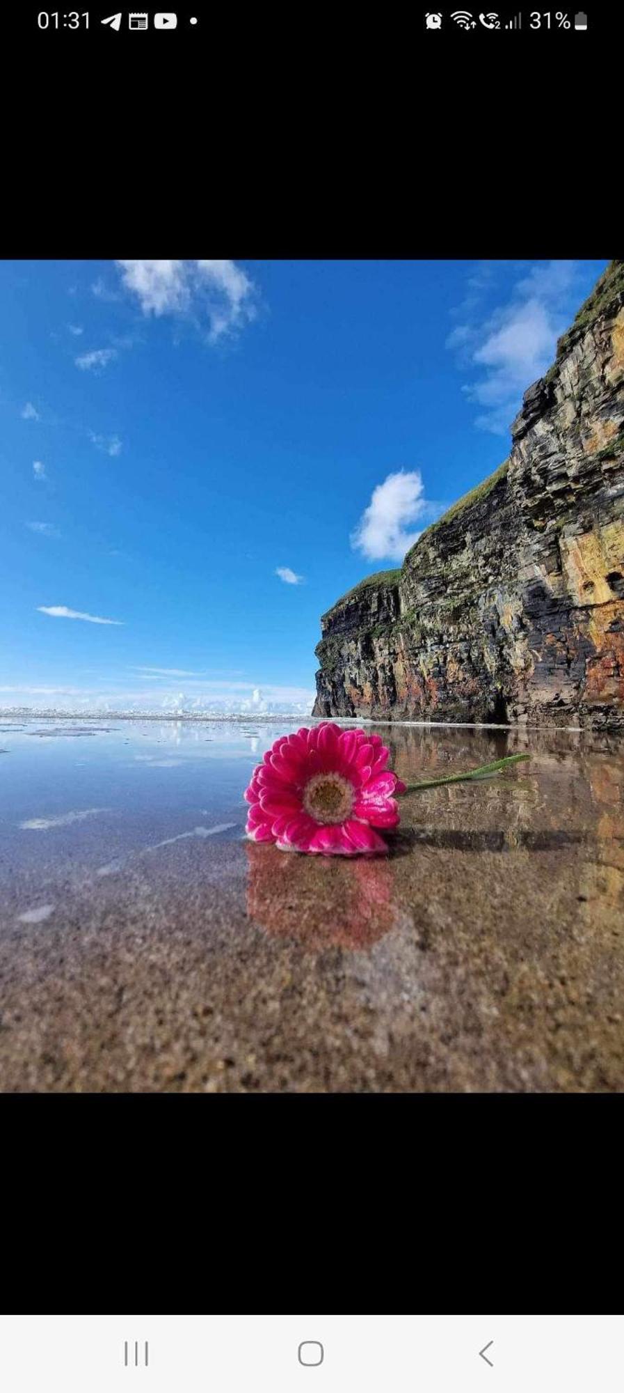 Luxury Holiday Rental With Sea Views On The Wild Atlantic Way Tralee Luaran gambar